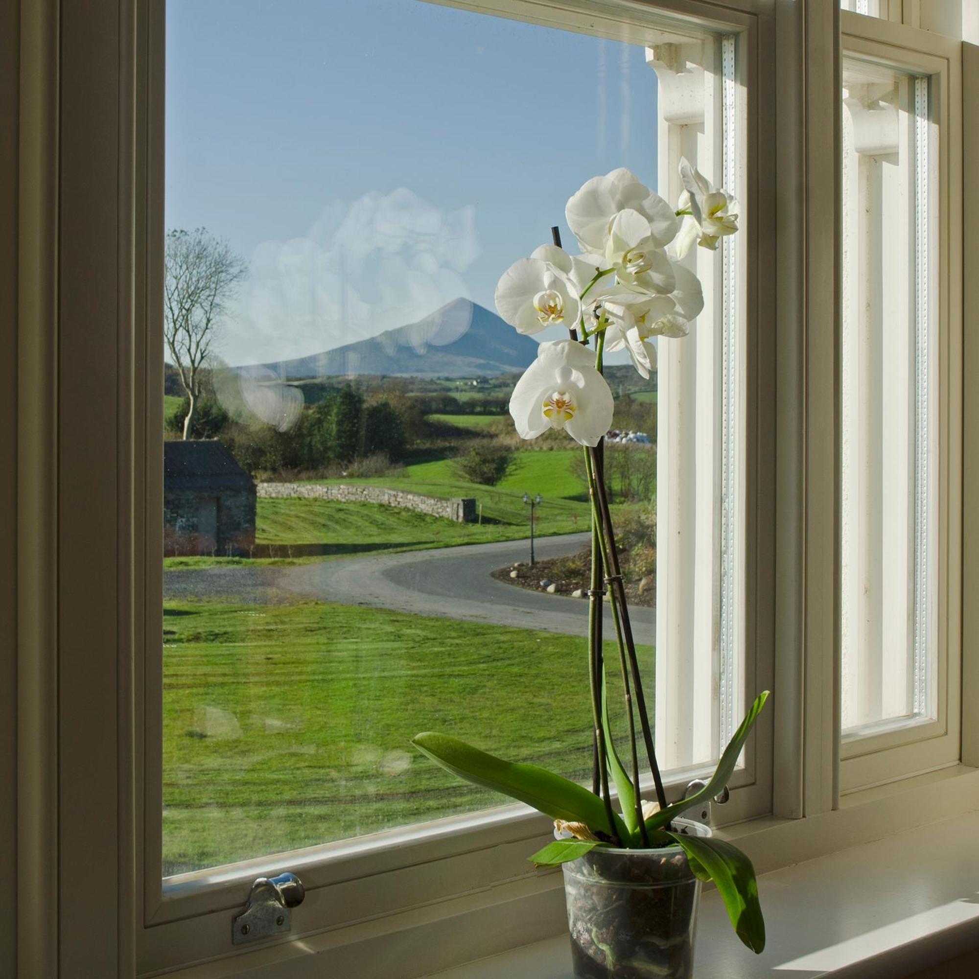 Westport Country Lodge Hotel Zewnętrze zdjęcie